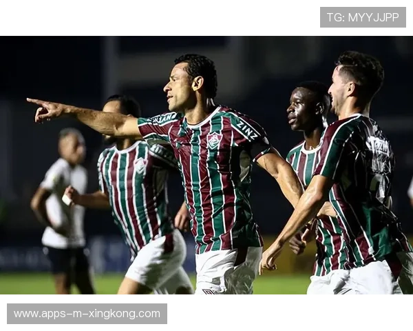 弗拉门戈反击选择理性