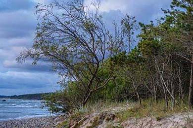 2025年中国篮球运动普及计划全面推进，中国篮球未来发展趋势