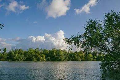 AC米兰豪取胜利，射手梅开二度助球队登顶，ac米兰 梅内