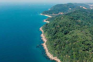 2019年季后赛：“水花兄弟”连续热火般的爆发，库里在关键的第四节多次神奇远投赢得比赛